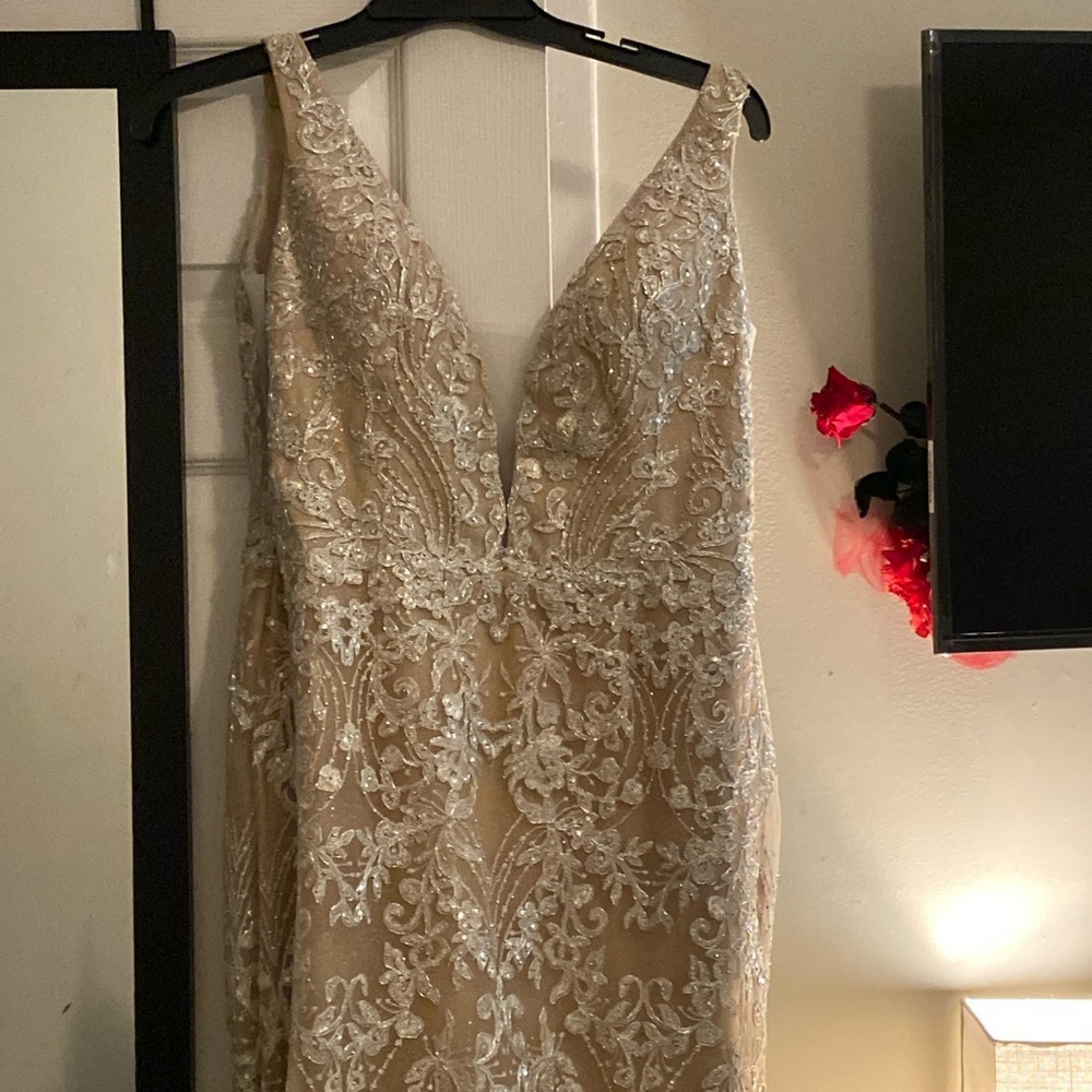 Silver and Nude/tan Prom dress🩶